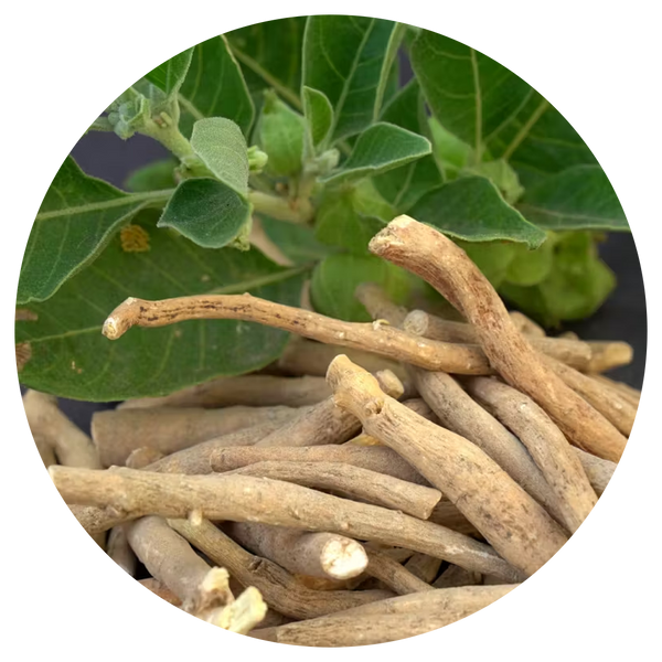 Sensoril® Ashwagandha