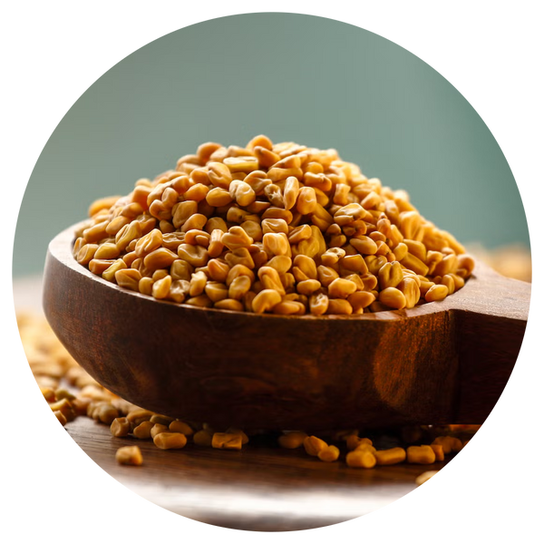 Fenugreek